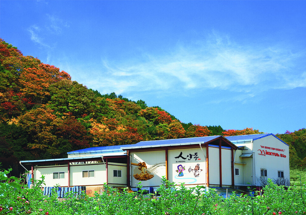 니껴바이오 안동 공장 2015 – 2020
